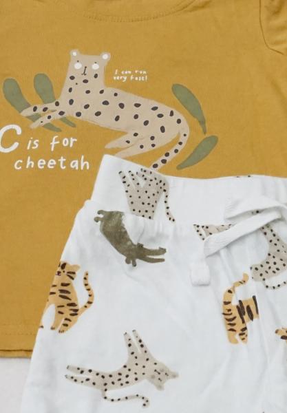 T-Shirt mit kurzer Hose Gr. 74 von Primark (1890)